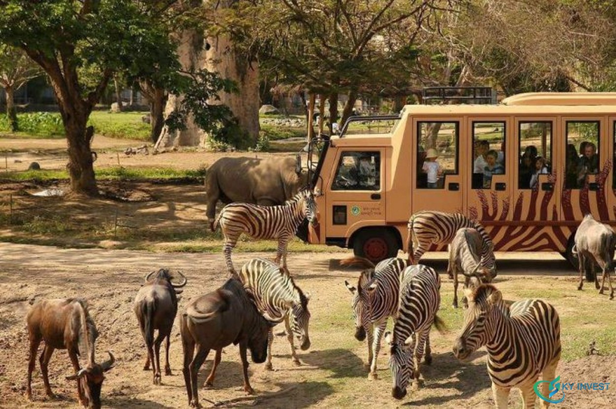Vườn thú Safari tại Novaworld Đà Lạt