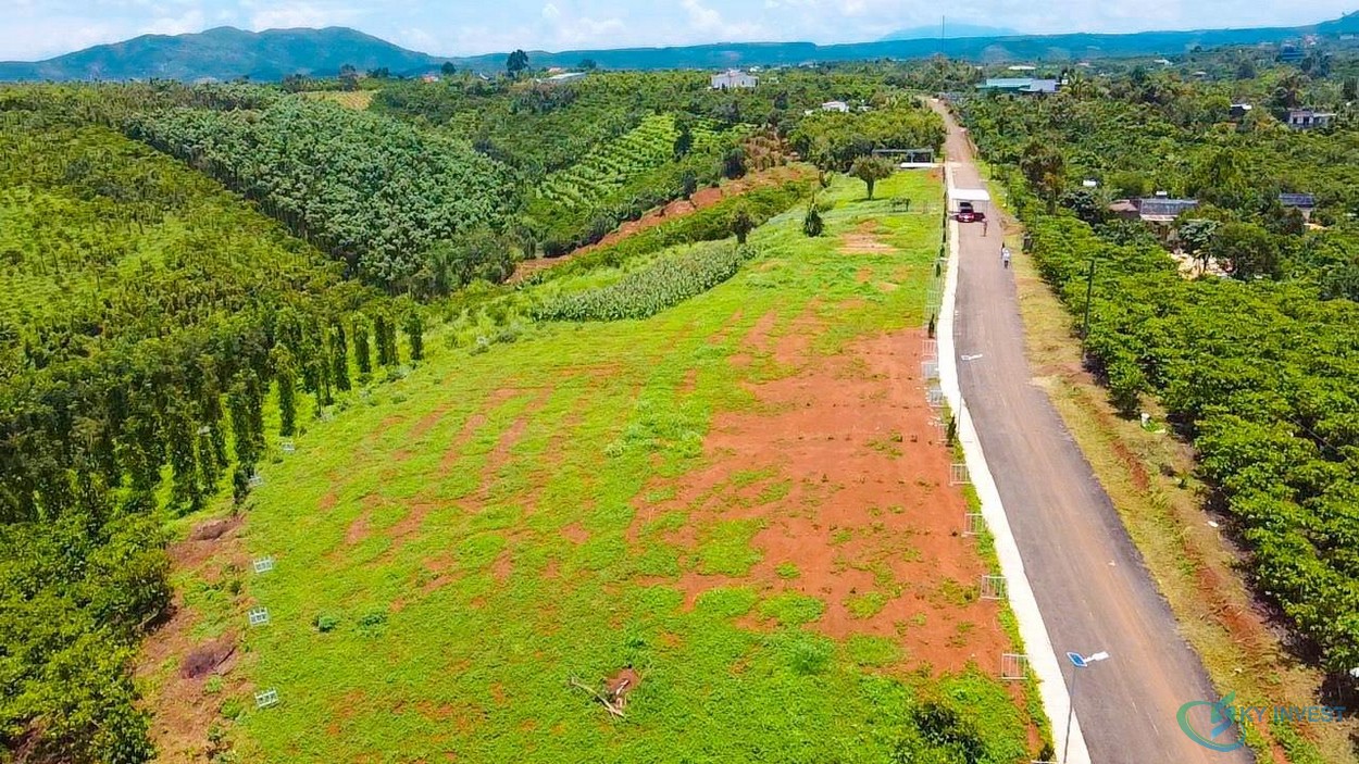 Hình ảnh thực tế đất nền Lâm Đồng