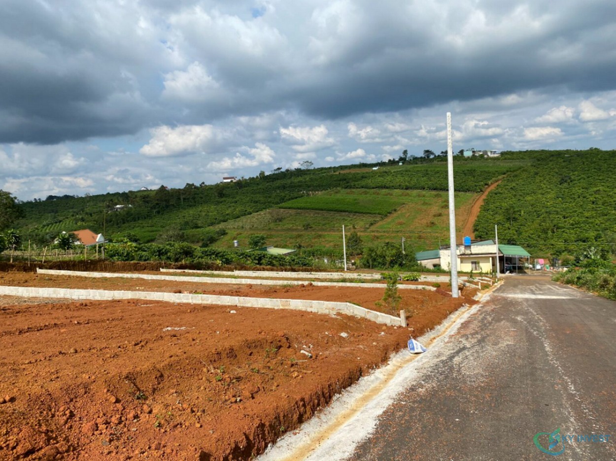Đầu tư đất nền Lâm Đồng mang lại cho nhà đầu tư nhiều lợi ích