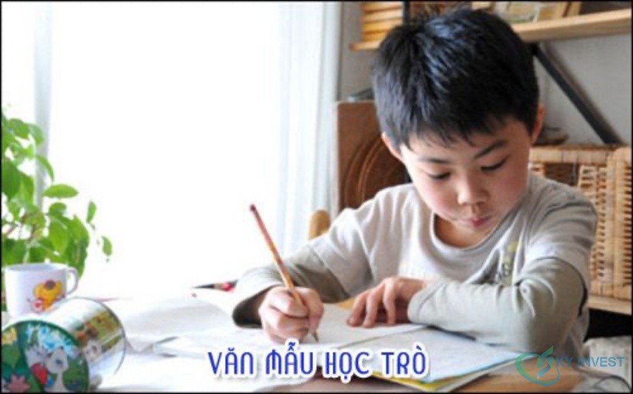 Cách viết đoạn văn cho học sinh bậc Tiểu học (Lớp 2, 3, 4, 5)