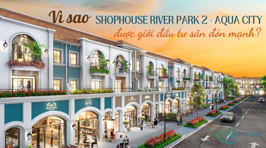 Vì sao shophouse đa công năng tại River Park 2 - Aqua City được giới đầu tư săn đón mạnh?